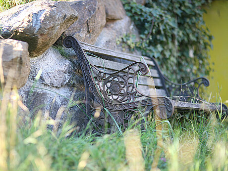 Bild: Eine Felsenwand die mit Efeu umhangen ist. Im Vordergrund sieht man eine Sitzbank aus Holz.