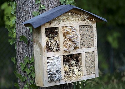 Ein selbstgebasteltes Insektenhaus an einem Baum