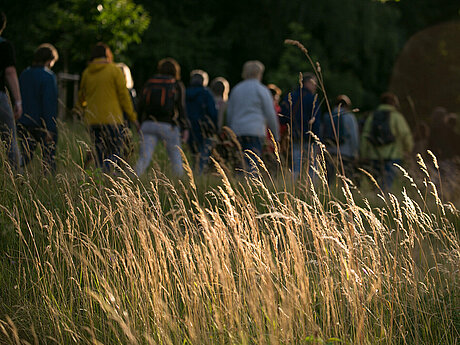 Bild: Eine Menschengruppe die auf einem Feldweg spazieren geht.