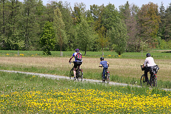 Bild: Drei Fahrradfahrer, die auf einem Feldweg Fahren.