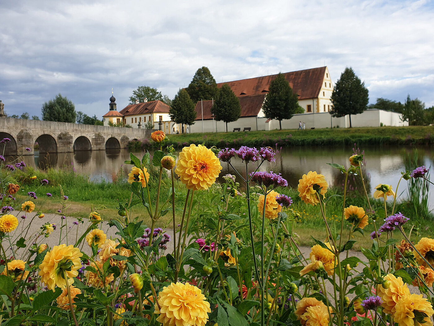 Bild: Gelbe und Lila farbige Blumen. Im Hintergrund ist der Fischhofpark in Tirschenreuth zu sehen.