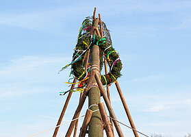 Bild: Ein Maibaum mit bunten Bändern dran.