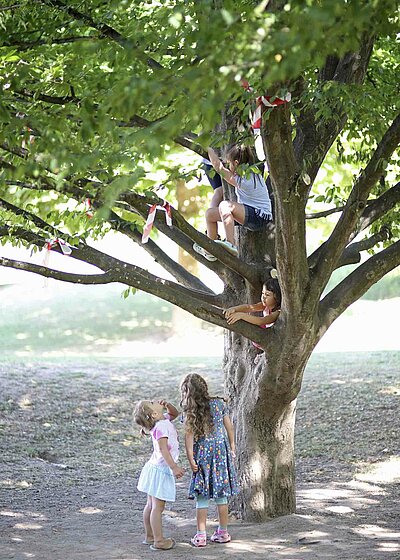 Kinder, die auf einem Baum im Garten der St. Michael Kita in Weiden klettern