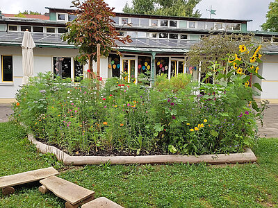 Blumenbeet mit Wildblumen im Außenbereich der Erlöserkita Amberg