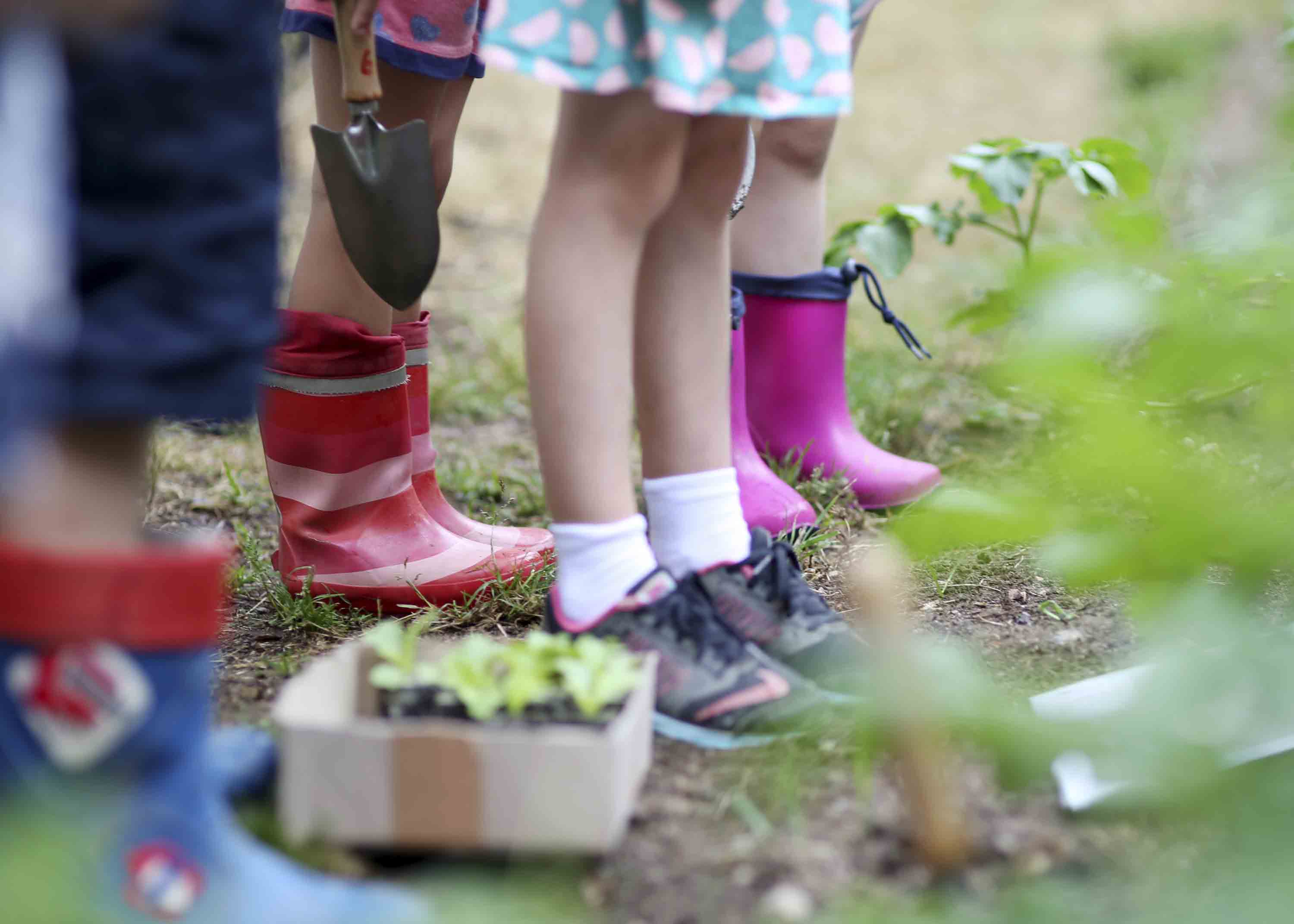 Viele Kinder aus dem St. Markus Kindergarten in Weiden, die mit Gummistiefel vor einem Gemüsebeet stehen.